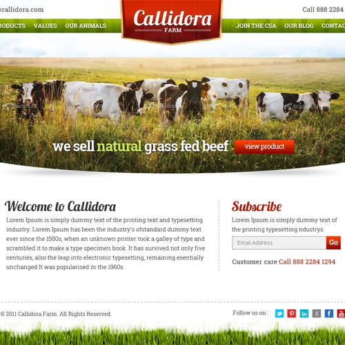 website design for Callidora Farm