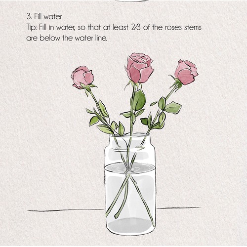 Artwork: Flower care tips illustrations
