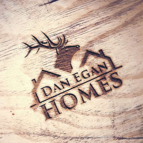 Logo concept for "Dan Egan Homes"