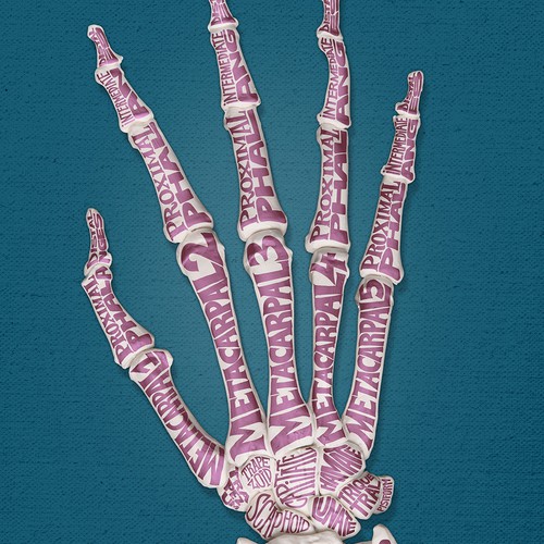 Hand - typographic anatomy