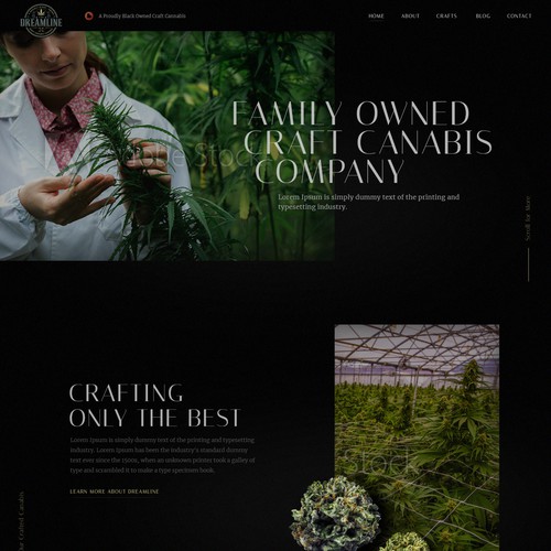 Web design for family owned craft canabis company!