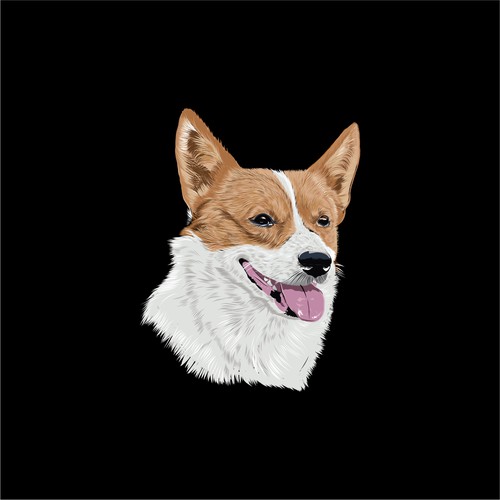 Corgi vector art