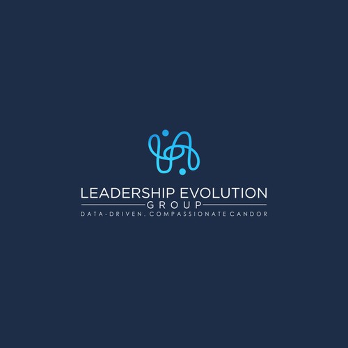 Leadership Evolution Group