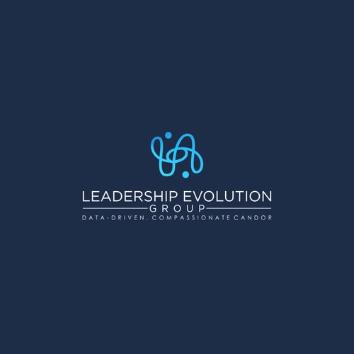 Leadership Evolution Group