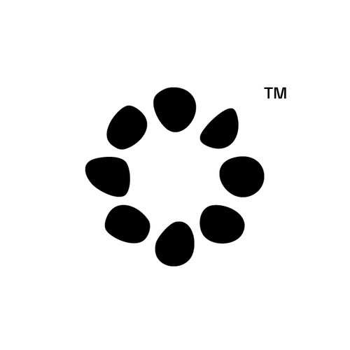 Piedras AI: Building Intelligence, Stone by Stone