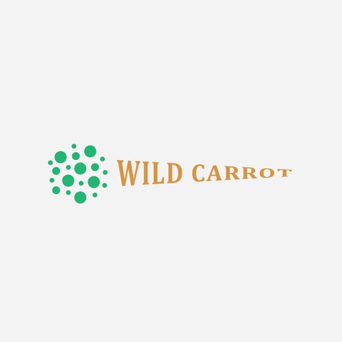 Wild Carrot