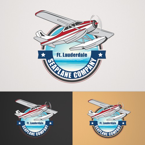 Logo concept for seaplane company. 