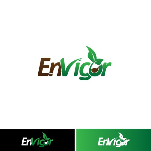 Logo concept for EnVigor