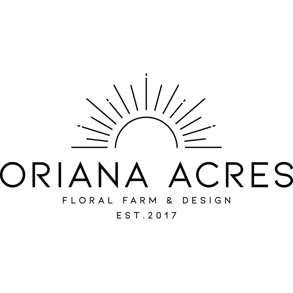 Take my existing logo to a more modern, elevated, and sophisticated level!