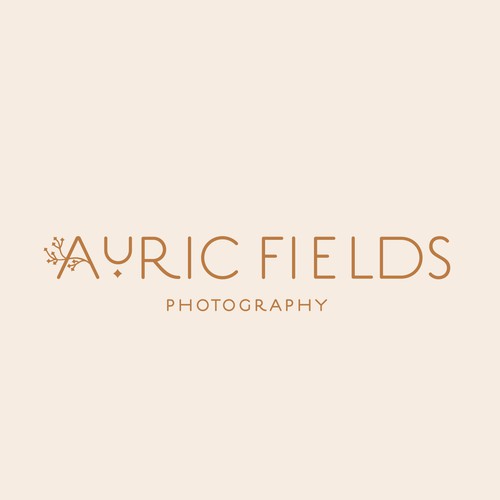 Logo design for a photographer