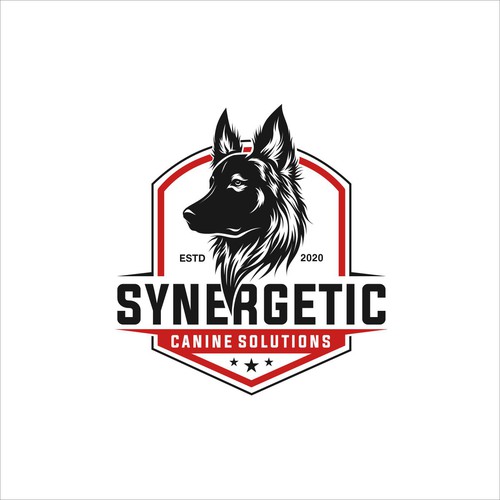 Synergetic Logo