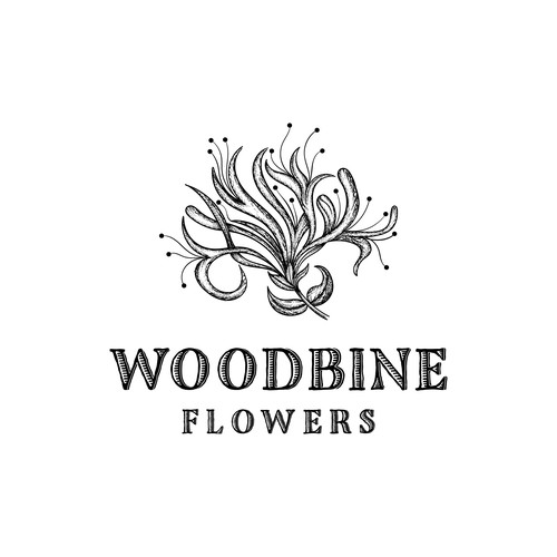 woodbine flower