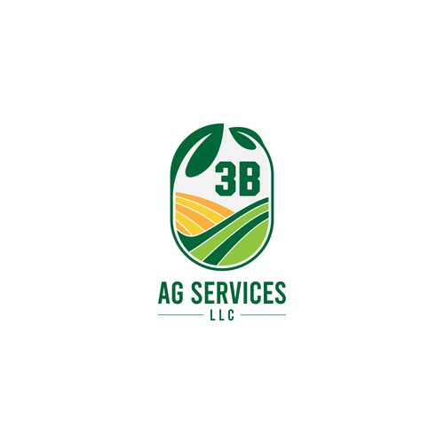 3B AG Services LLC
