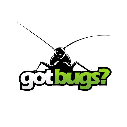 Bold logo concept for mosquito