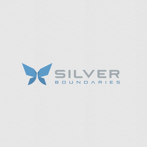 Logo for Silver Boundaries