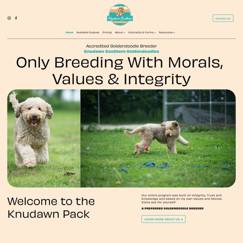 Knudawn Southern Goldendoodles Design