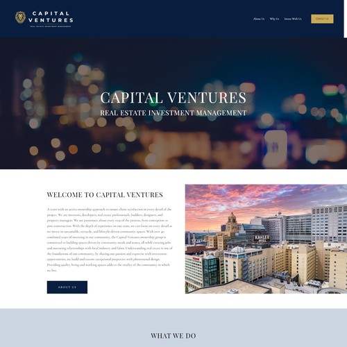 Commercial Real Estate Investment Website & Logo