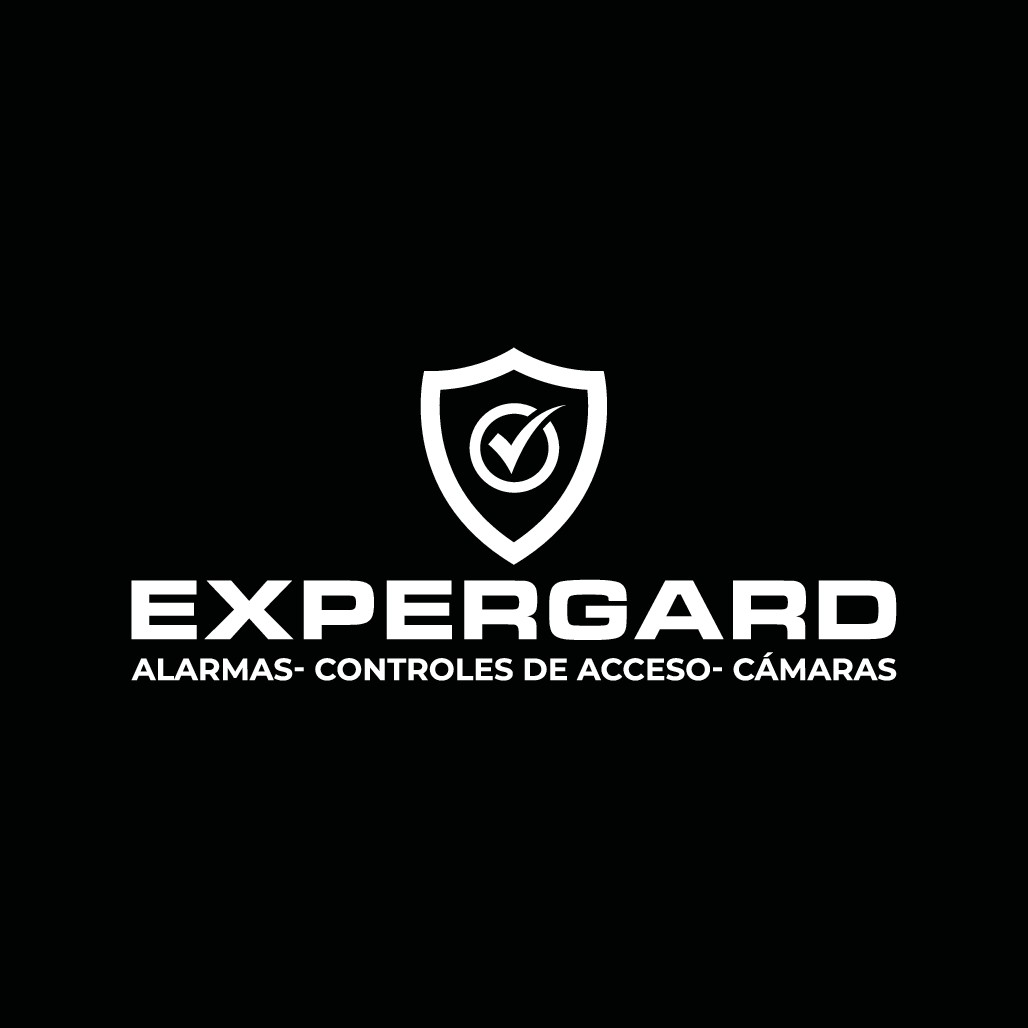 WE NEED AN AMAZING LOGO FOR A SECURITY COMPANY