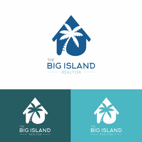 Logo concept for The Big Island Realtor