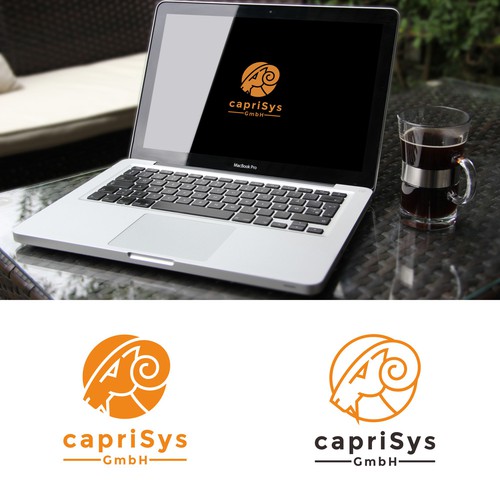 Smart Logo for capriSys GmbH.