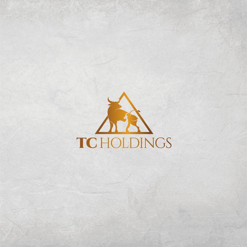 TCHoldings