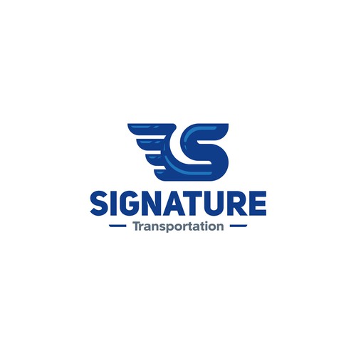 Letter S Logo Concept