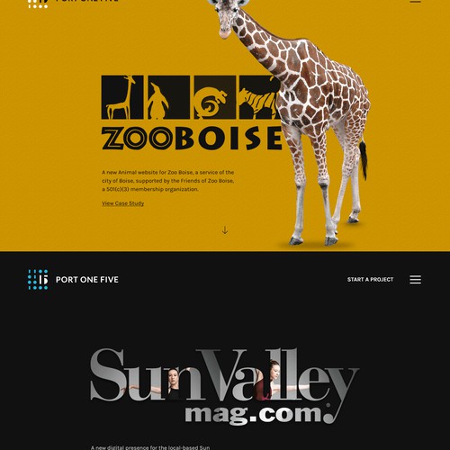 Creative design for Software Company