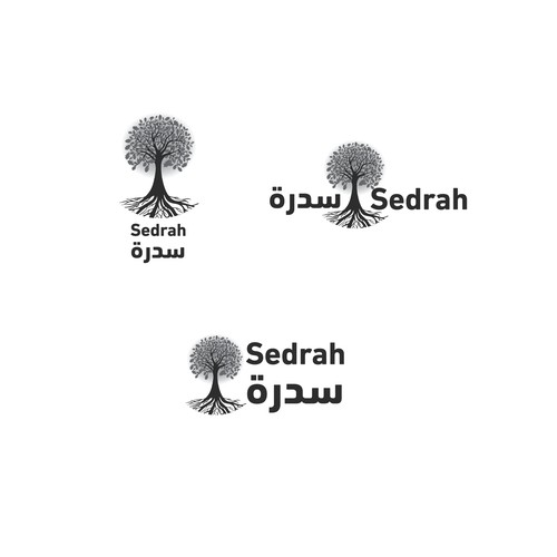 Sedrah سدرة