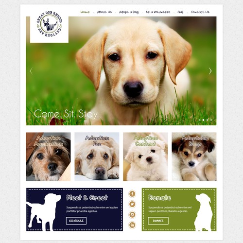Come. Sit. Stay.  And design us a website that will rescue dogs!