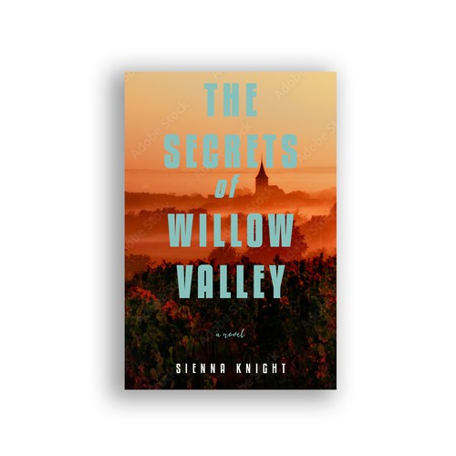 Novel cover contest entry