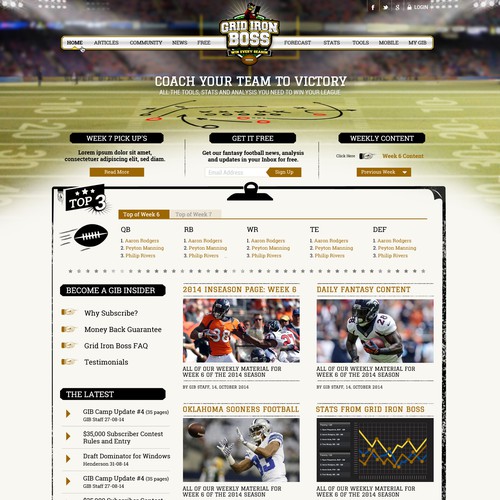 Fantasy football website