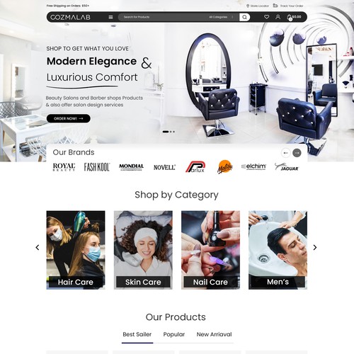 Website design for Salon Products