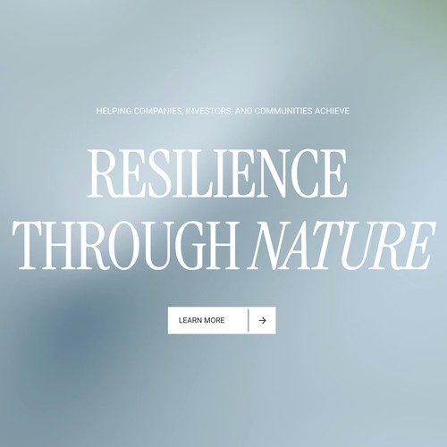 custom Squarespace for rebalance.earth/