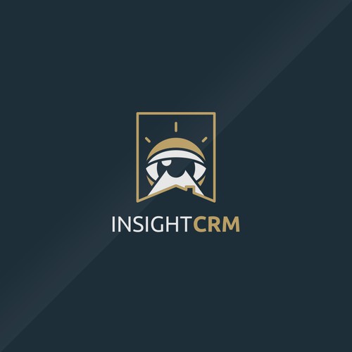 INSIGHT CRM