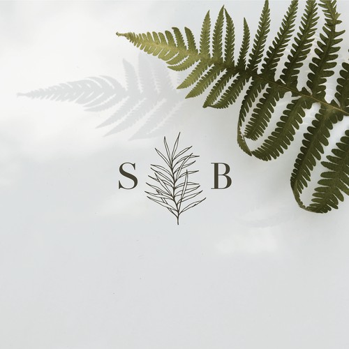 Branding Concept for Siesta Botanicals