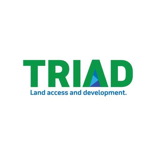  TRIAD LOGO DESIGN