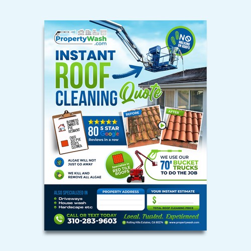 Instant roof cleaning flyer