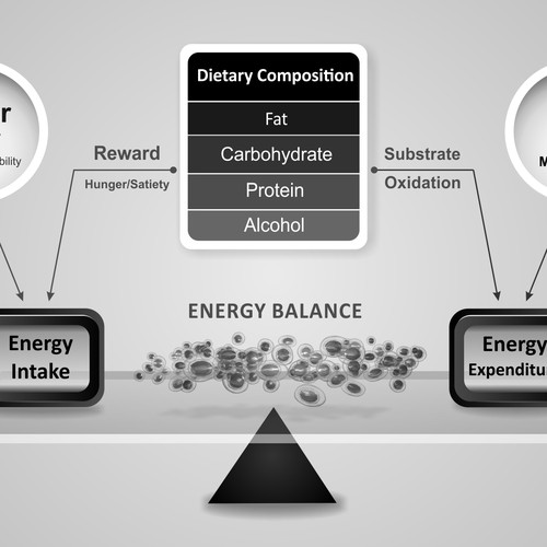 Energy Balanced Graphic Black and White Diagram