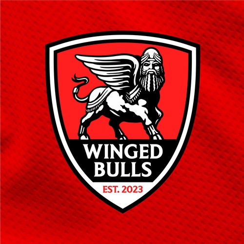 logo concept for age 40s men soccer club