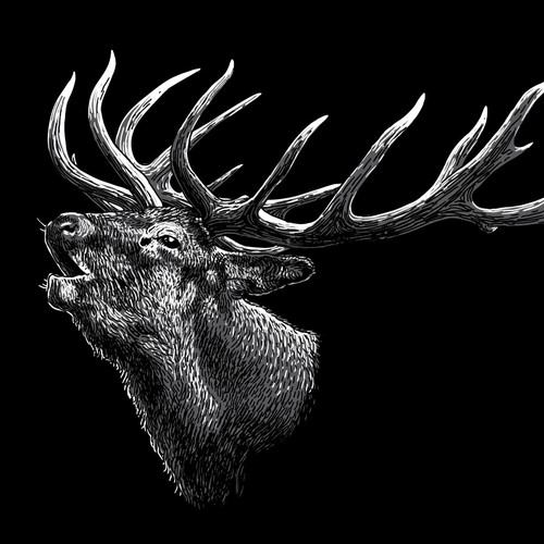 Deer Stag Illustration
