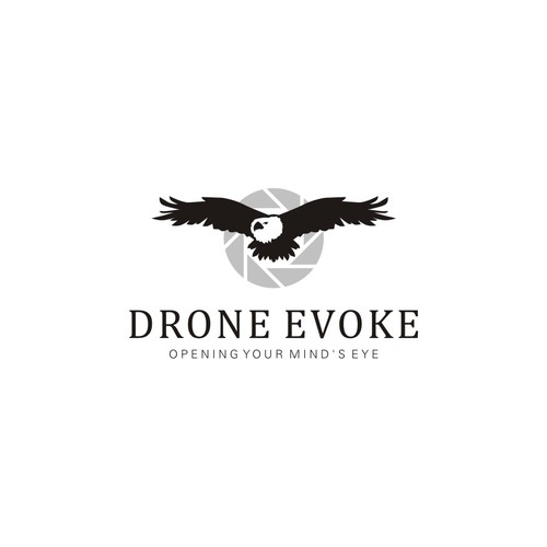 Logo concept for aerial photography company