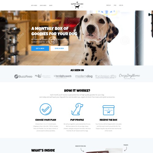 Home Page for The Dapper Dog Box