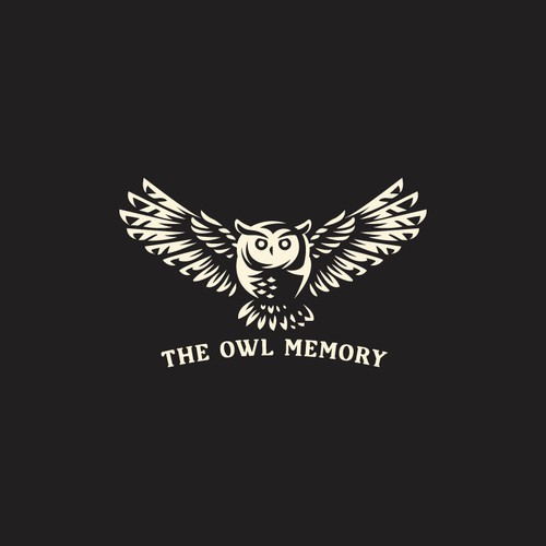 The Owl Memory