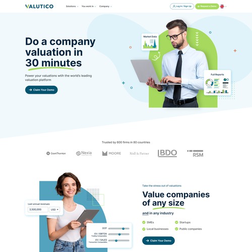 Website for a Valuation software