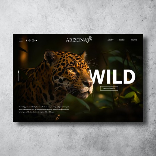 Landing page Arizona