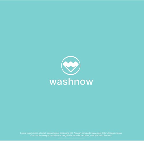 logo concept for Washnow