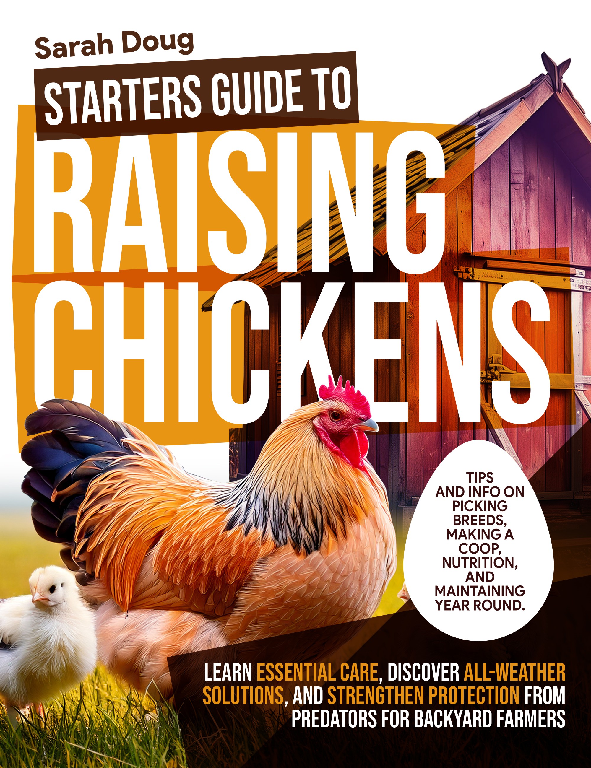 First book, looking to make it a top seller.