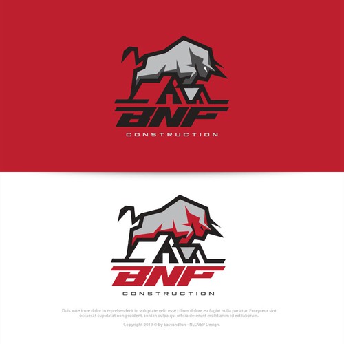 Logo Concept for BNF