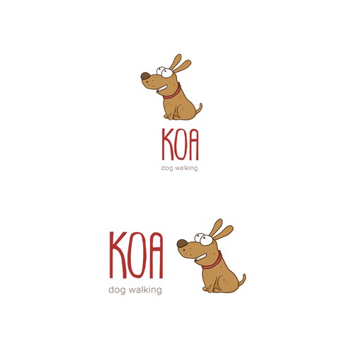 Koa - dog walking