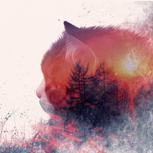 Catty-forest